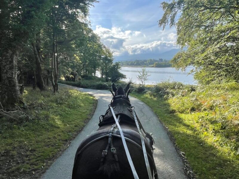killarney-carriage-tours-national-park-and-lakes