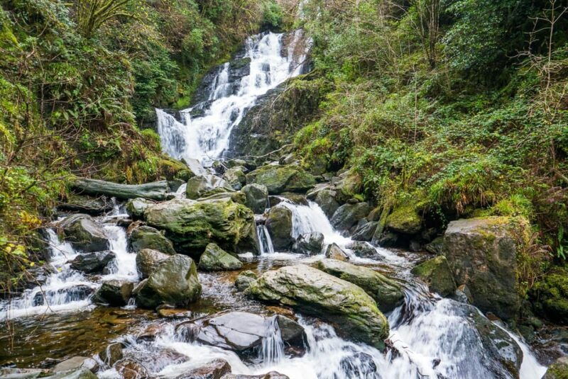 killarney-highlights-walk-castle-lake-carriage-ride