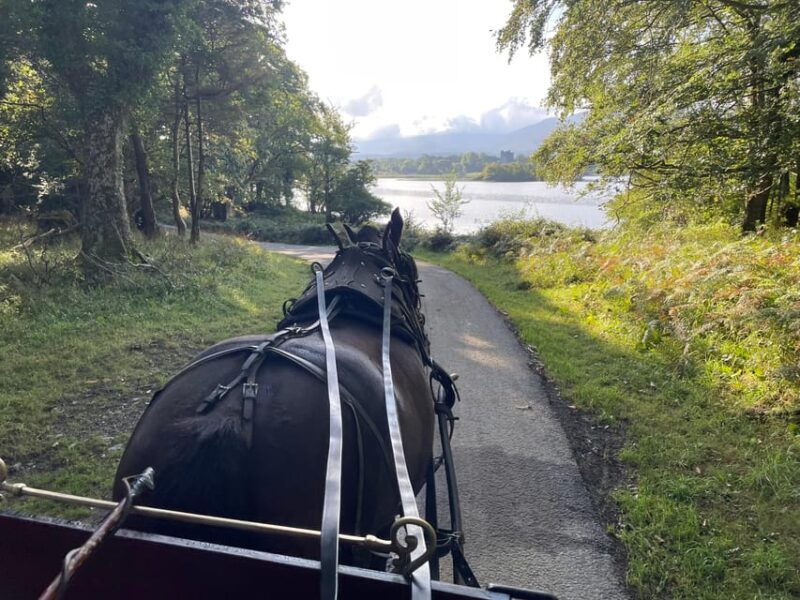 killarney-national-park-jaunting-car-tour