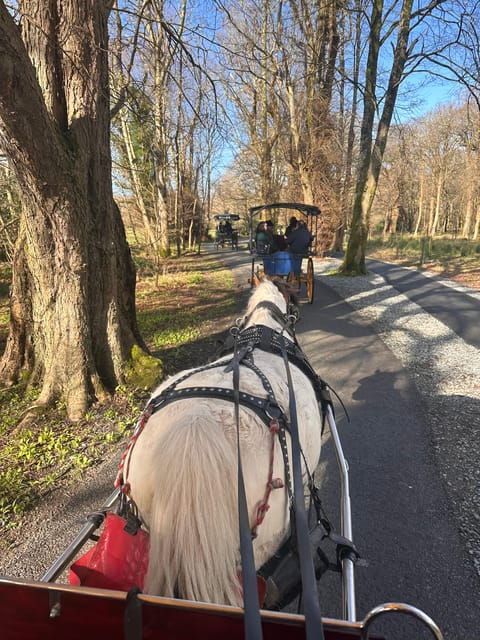 killarney-national-park-tour-2