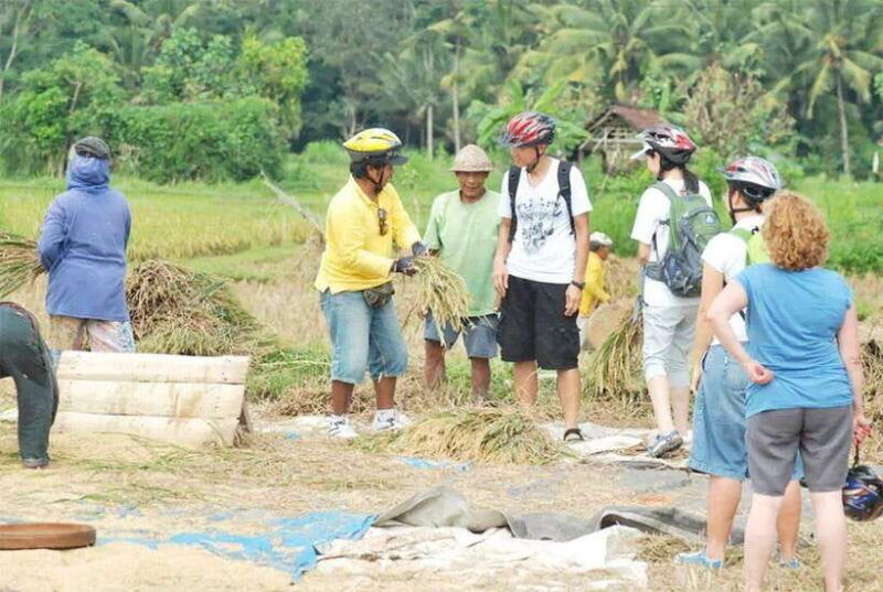 kintamani-to-ubud-downhill-cycling-tour