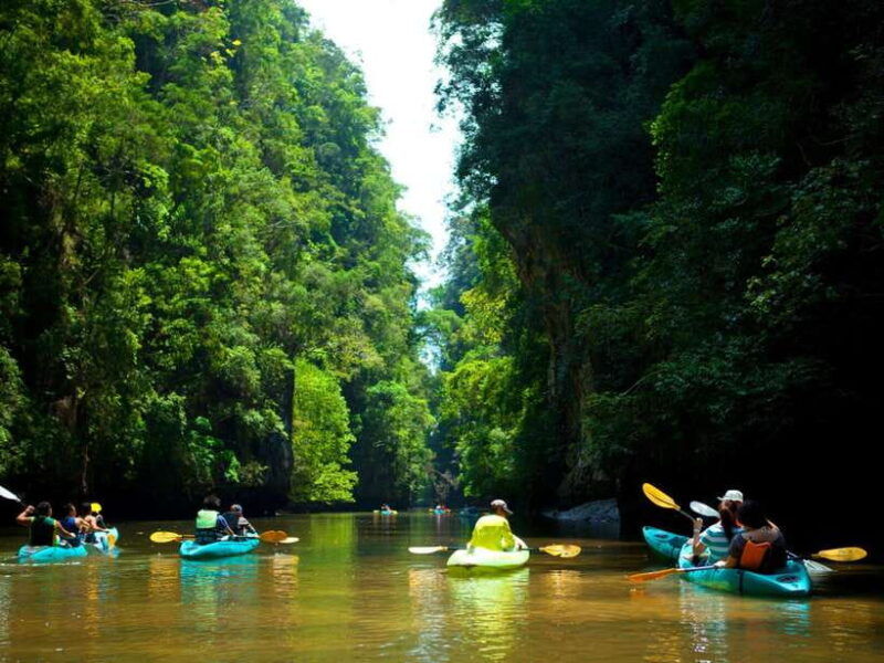ko-lanta-mangrove-forest-kayak-wildlife-adventure