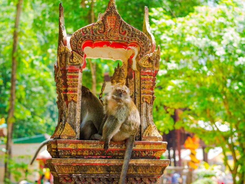 ko-lanta-private-tiger-cave-hot-spring-emerald-pool-tour