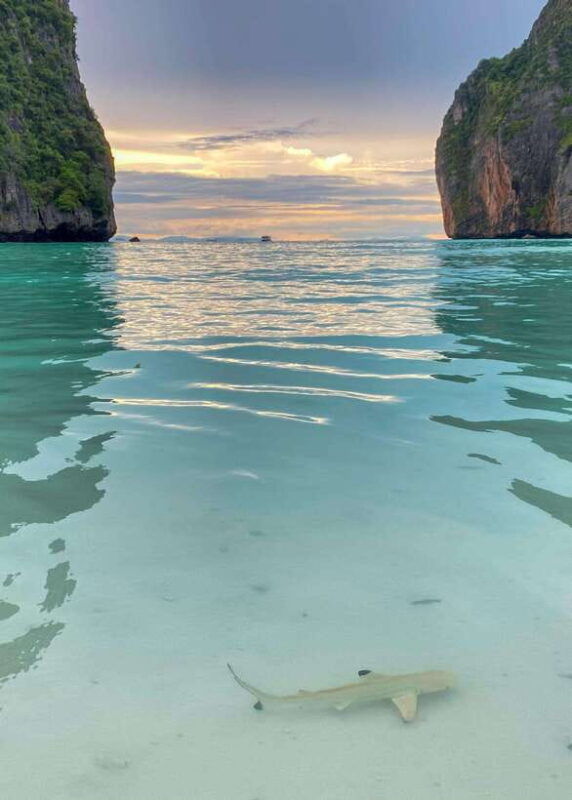 koh-phi-phi-maya-bay-private-longtail-boat-tour