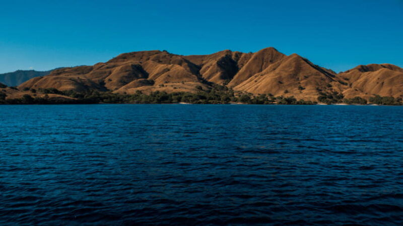 komodo-island-full-day-tour-at-labuan-bajo-island