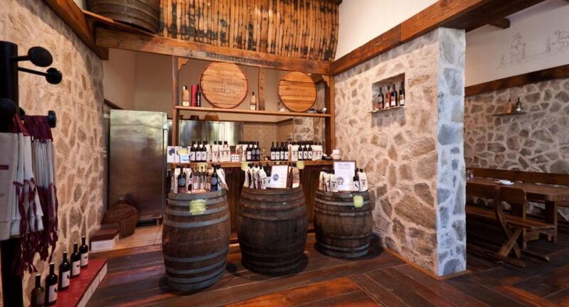 konavle-valley-wine-tasting-at-dubrovnik-cellars