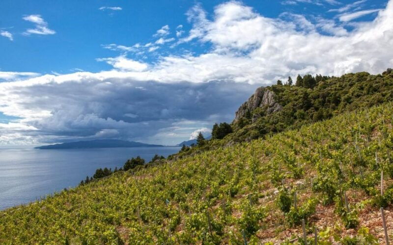 korcula-day-tour-from-dubrovnik