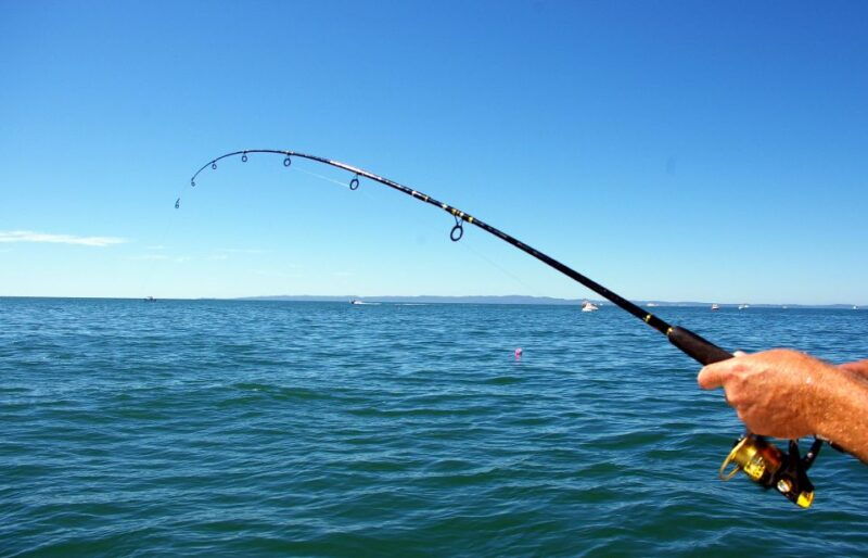 kos-fishing-trip-experience-with-a-greek-fishermans-family