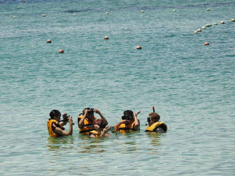 kota-kinabalu-island-hopping-with-snorkeling-meal