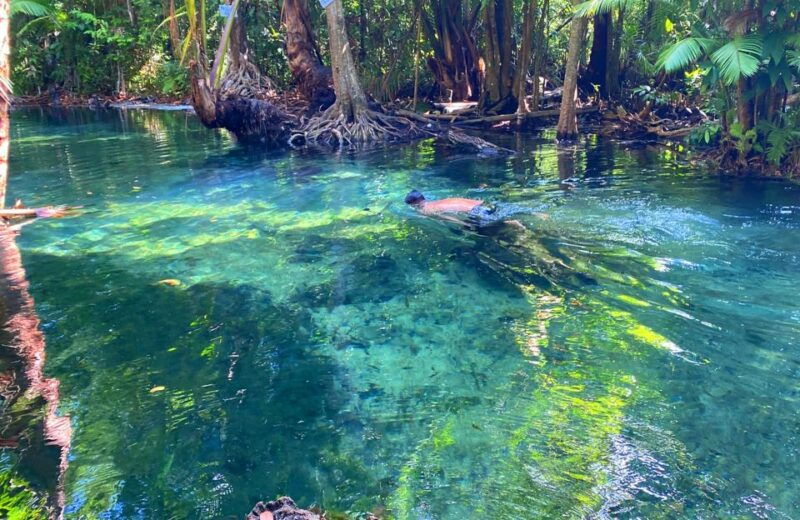 krabi-crystal-lagoon-kayaking-and-horseback-riding-day-trip