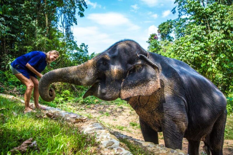 krabi-ethical-elephant-sanctuary-experience