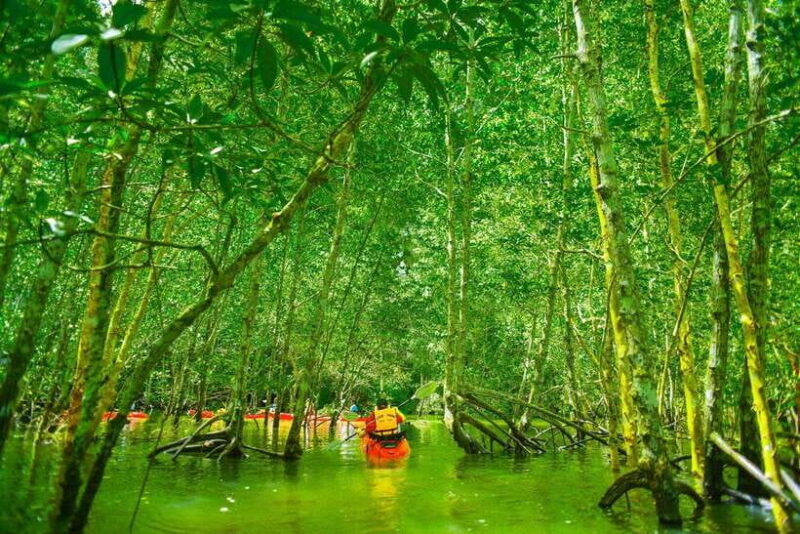 krabi-hidden-mangrove-kayaking-tour-with-optional-extras