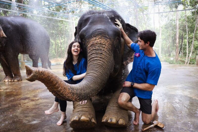 krabi-kayaking-at-klong-nam-sai-elephant-bathing-feeding