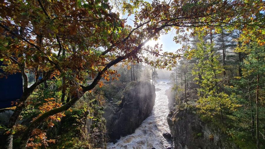 kristiansand-wild-salmon-center-guided-tour-with-bus-ride