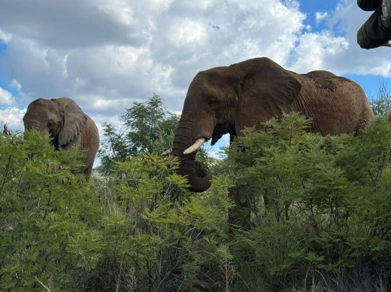 kruger-national-park-4-day-ultimate-safari-tour