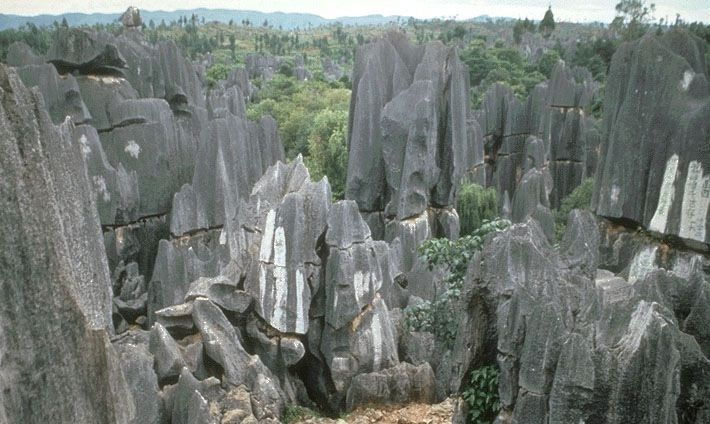 kunming-stone-forest-private-day-tour