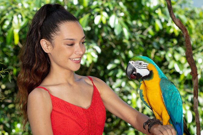 Kuranda Wildlife Experience Deluxe Multi Attraction Pass - Additional Practical Details