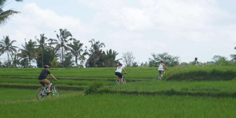 kuta-kintamani-culture-and-nature-guided-cycling-tour