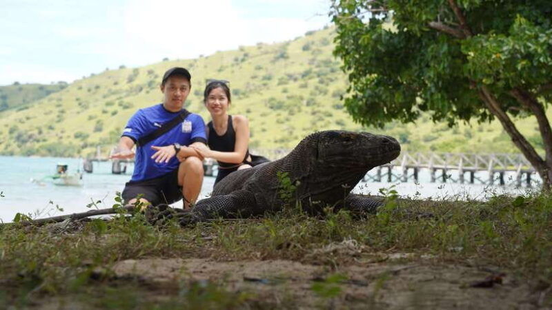 labuan-bajo-komodo-national-park-full-day-speedboat-tour