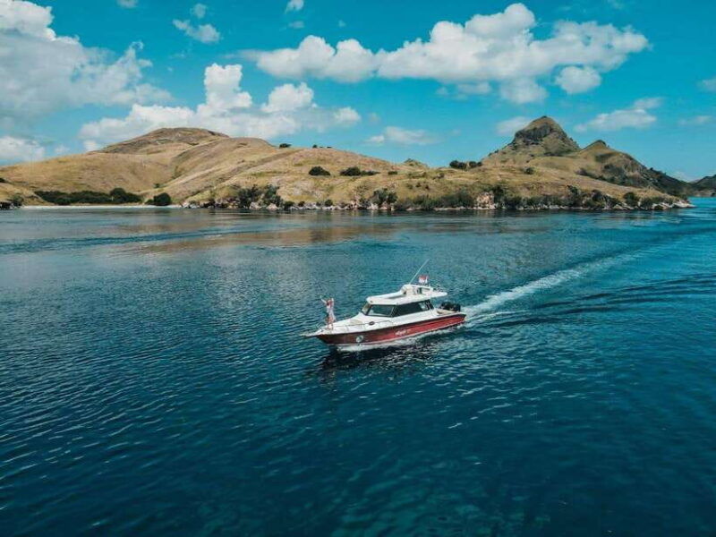 labuan-bajo-one-day-komodo-tour-snorkeling