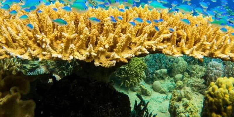 labuan-bajo-rangko-cave-and-beach-snorkeling-half-day-tour