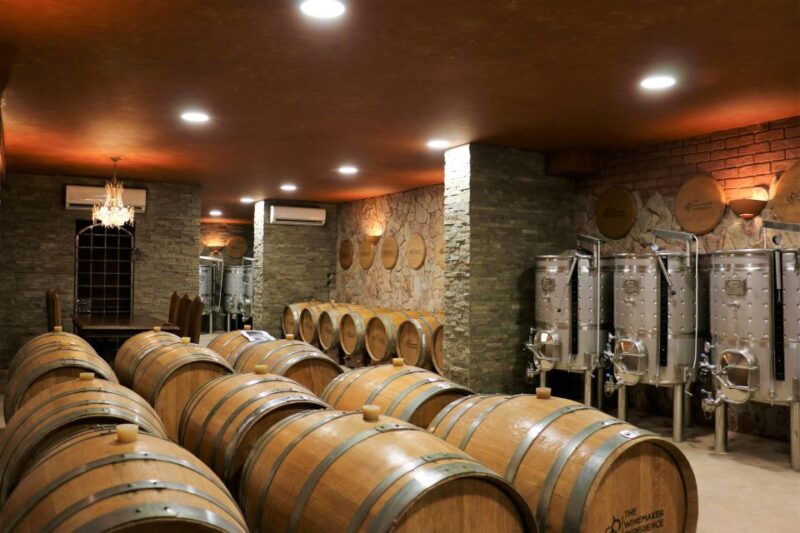 lagoa-guided-winery-tour-and-local-wine-tasting