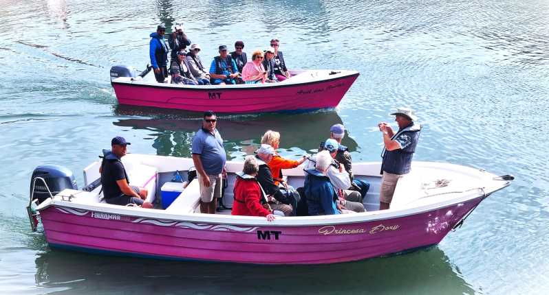 lagos-algarve-grotto-trip-boat-trip-late-afternoon