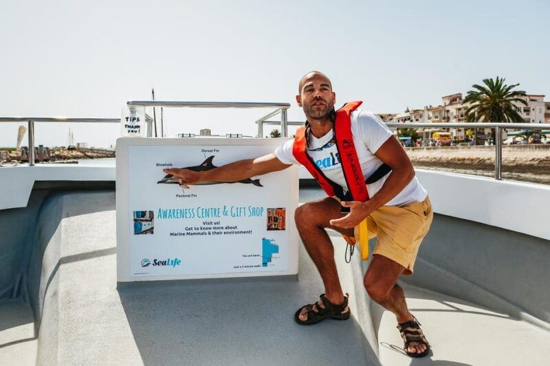 lagos-dolphin-watch-tour-with-professional-marine-biologist