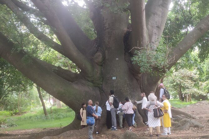 Lalbagh Botanical Garden Early Morning Walk + Breakfast at MTR - Who Should Consider This Tour?