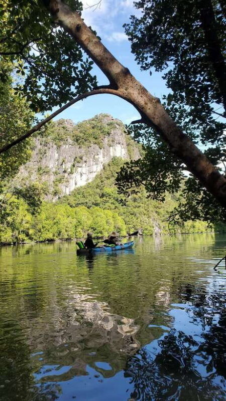 langkawi-kilim-geoforest-mangrove-kayak-tour-with-lunch