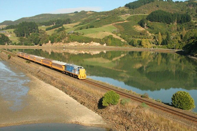 Larnach Castle & Gardens Tour from Dunedin winter - Who Will Love This Tour?