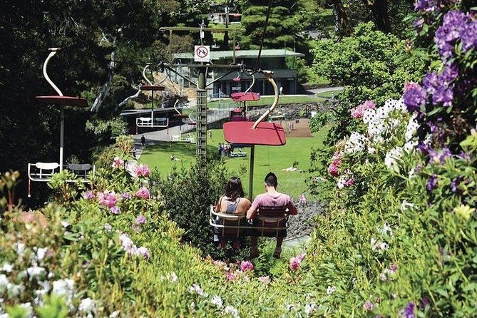 Launceston and Surroundings Day Tour Private Charter Service - The Sum Up