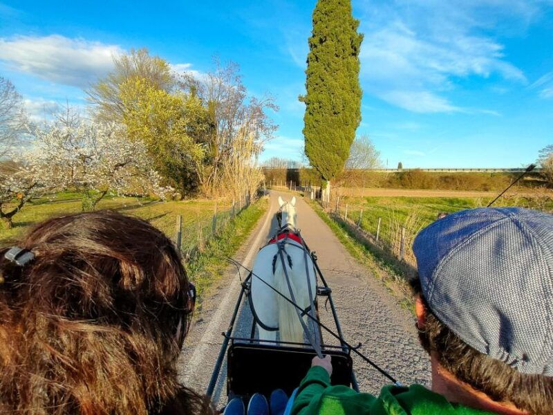 lazise-horse-carriage-tour-with-tasting-of-local-products