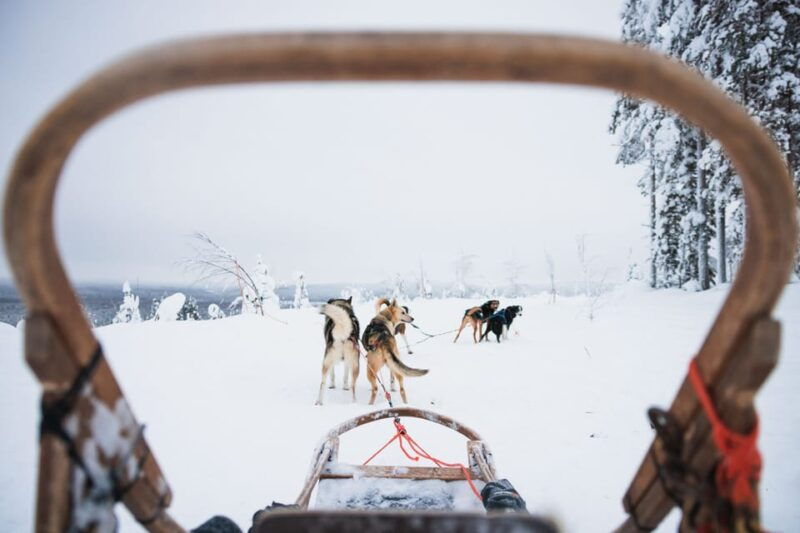 levi-15-kilometres-self-driving-husky-tour
