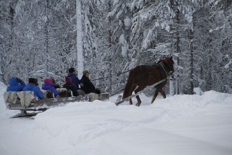 levi-polar-lights-tours-one-horse-open-sleigh-ride