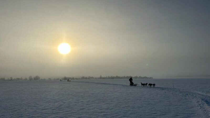 levi-self-drive-5-km-husky-sledding-experience