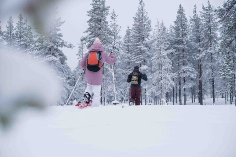 levi-snowshoe-adventure-in-the-wilderness