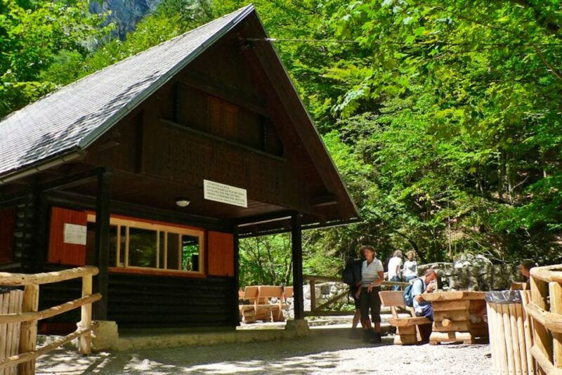 ljubljana-savica-waterfall-lake-bohinj-and-lake-bled-tour