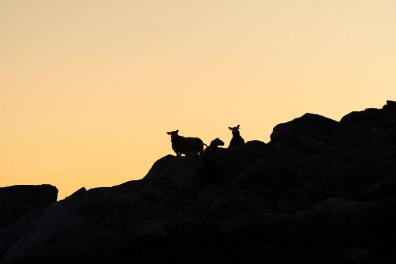 lofoten-islands-guided-hiking-into-the-wilderness-uphill