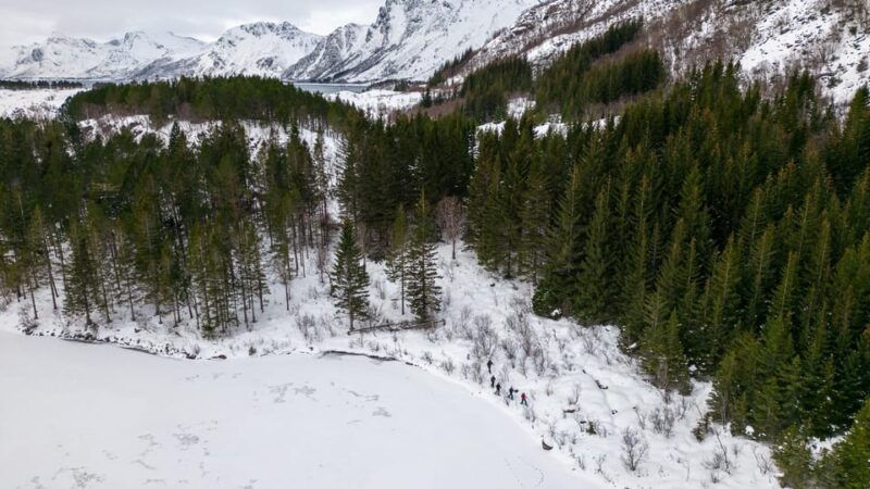 lofoten-islands-guided-snowshoeing-tour-easy-version