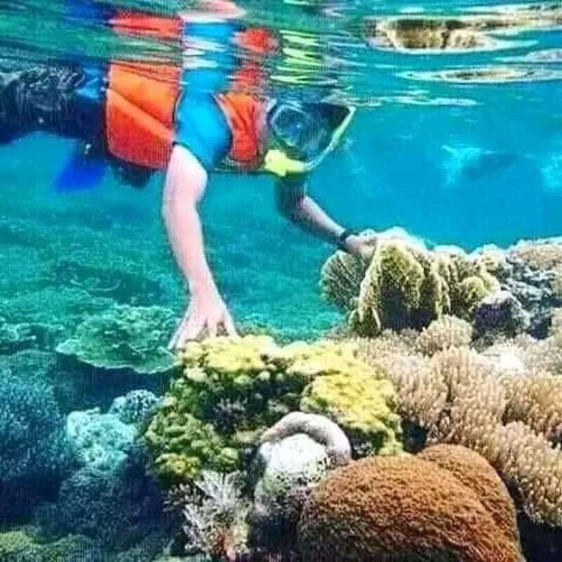 lombok-gili-islands-glass-bottom-boat-tour-with-snorkeling