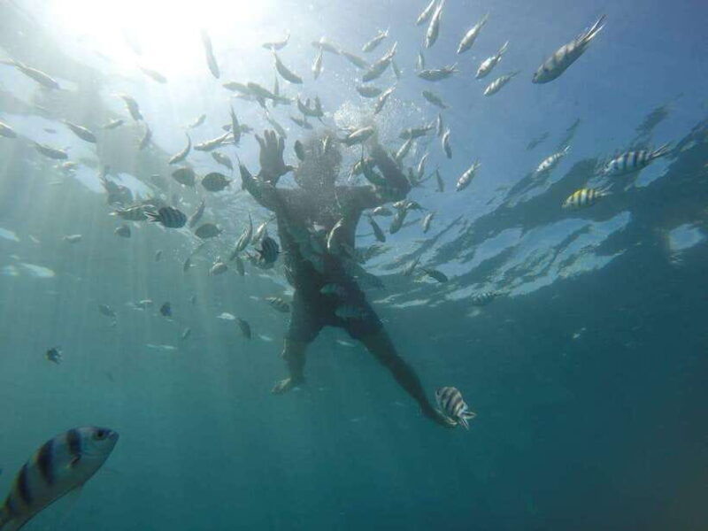 lombok-gili-nanggu-kedis-and-sudak-islands-boat-tour