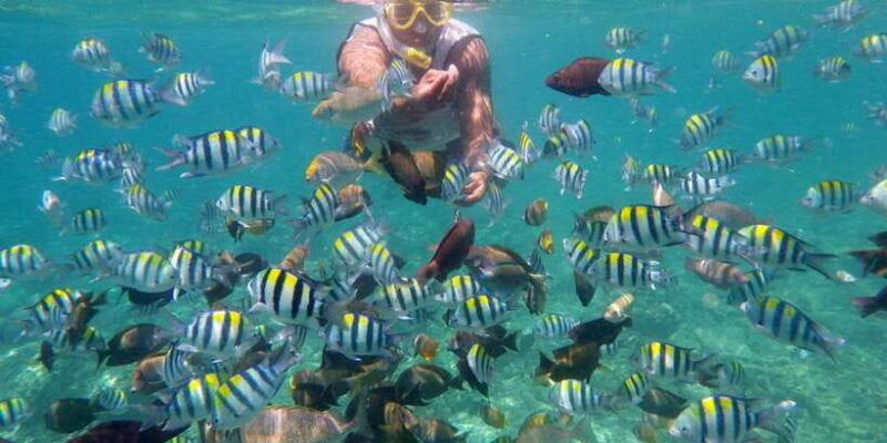 lombok-gili-trawangan-meno-air-snorkeling-trip