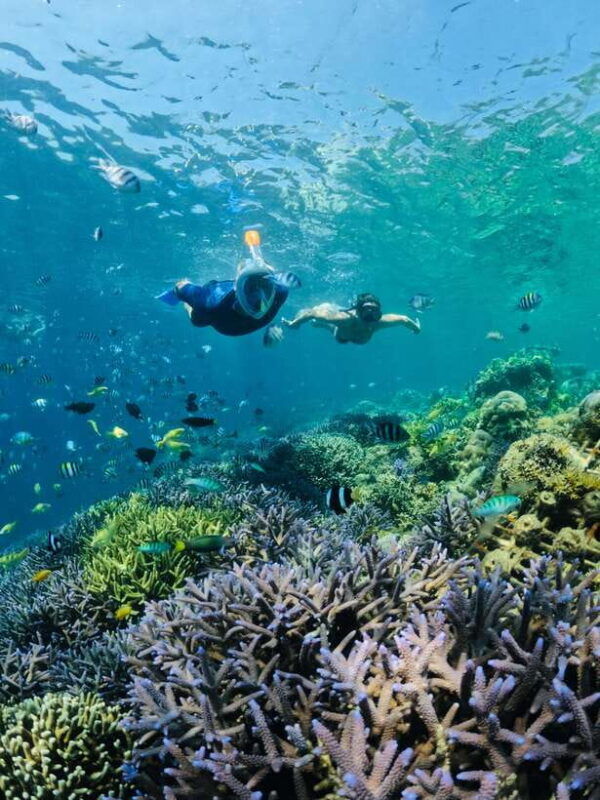 lomboksnorkeling-trip-to-gili-nanggugili-sudak-gili-kedis