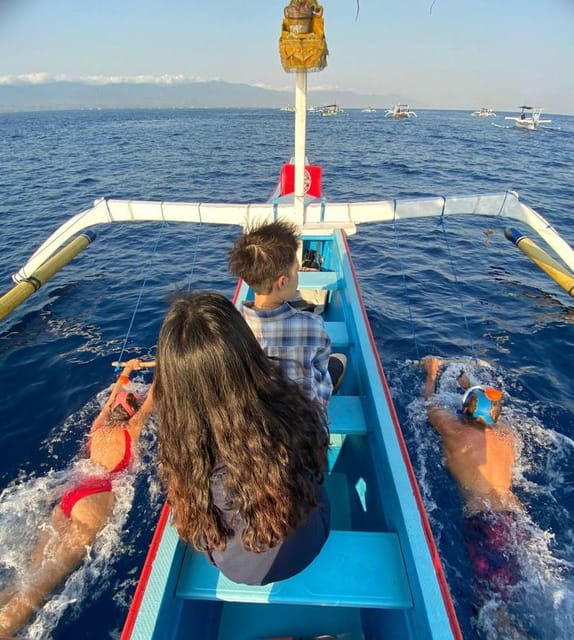 lovina-dolphin-watching-swimming-with-dolphin-private-tour