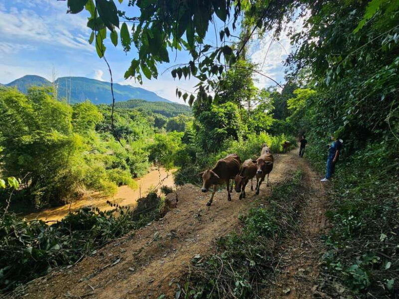 luang-prabang-authentic-lao-village-farm-experience-day
