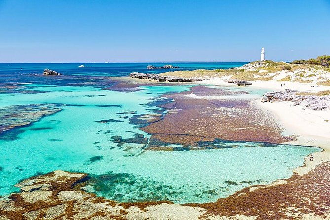 Luxe Seafood Package with Round Trip Ferry from Fremantle - The Sum Up