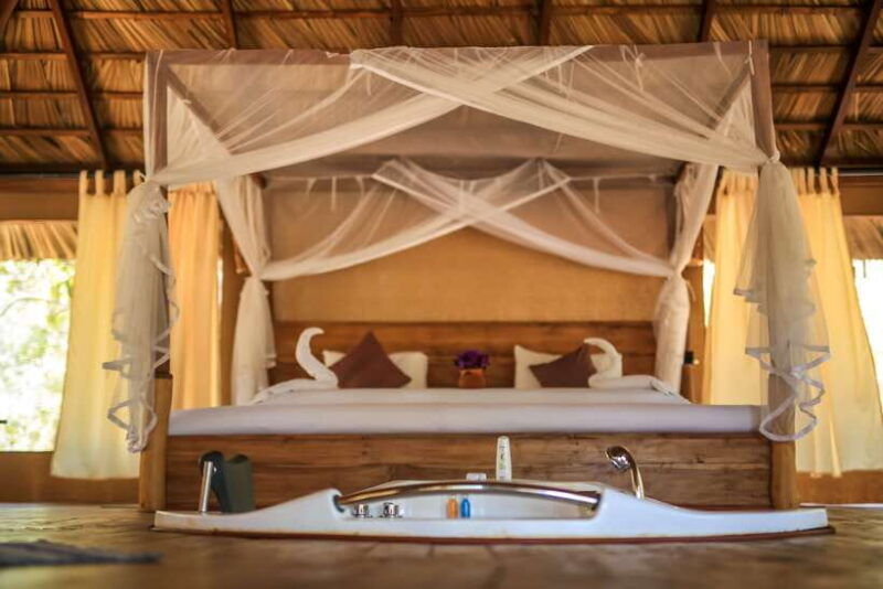 luxury-camping-and-safari-experience-in-yala-park