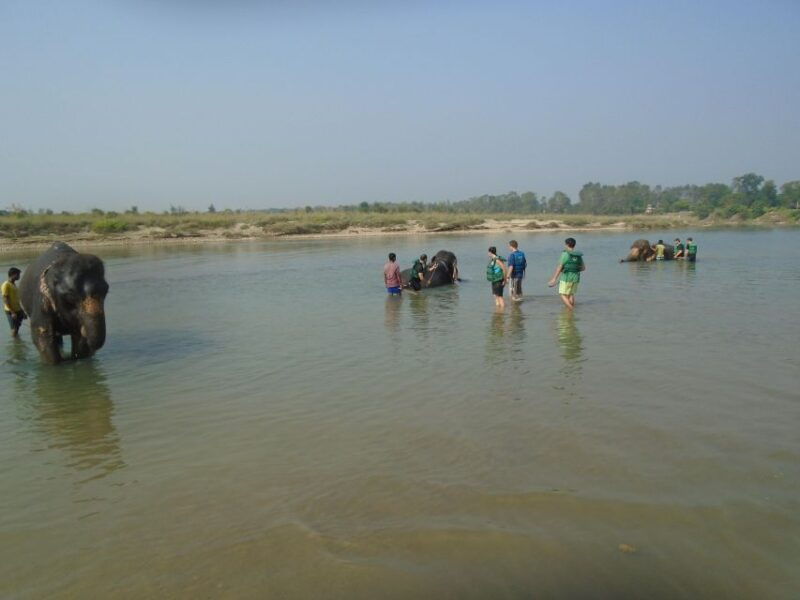 luxury-chitwan-jungle-safari-package-2nights-3days