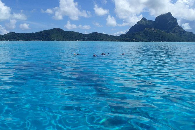 Luxury Full Day Snorkeling - Who Will Love This Tour?